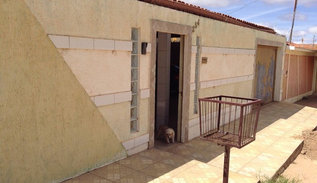 We've been in the rental business since 2015 and we accept pets.