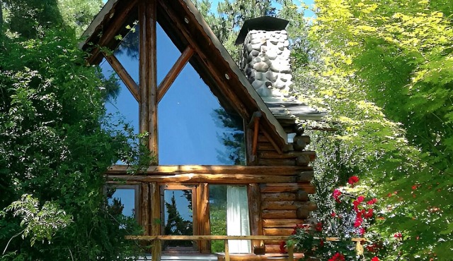 Willow log cabin