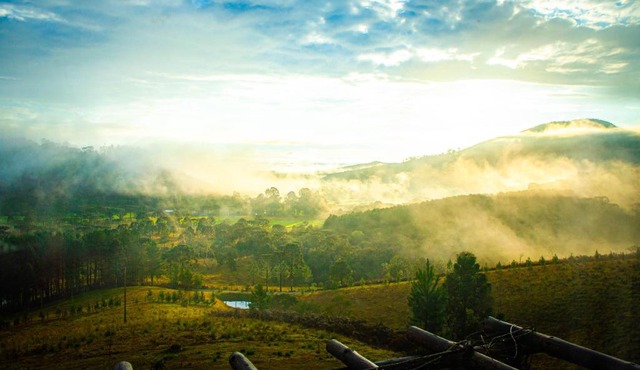 Yahoo ecolodge