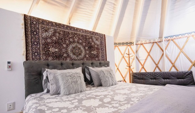 YURT, unusual housing, from the Mongolian empire, with a lot of luxury and comfort, stud farms.
