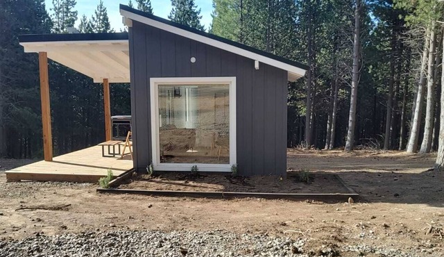 Zen Pine House