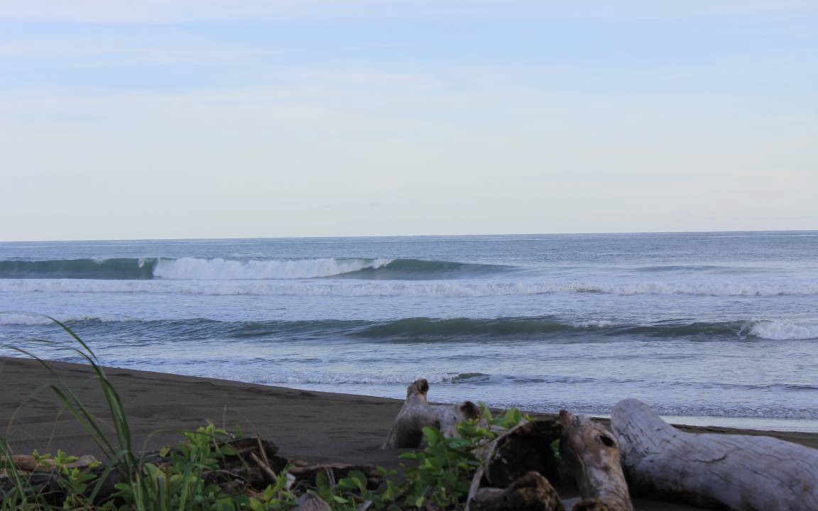 Photo of Others in Parrita
