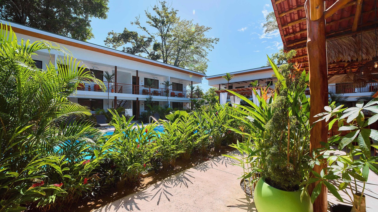 Photo of Outdoor in Puerto Viejo de Talamanca