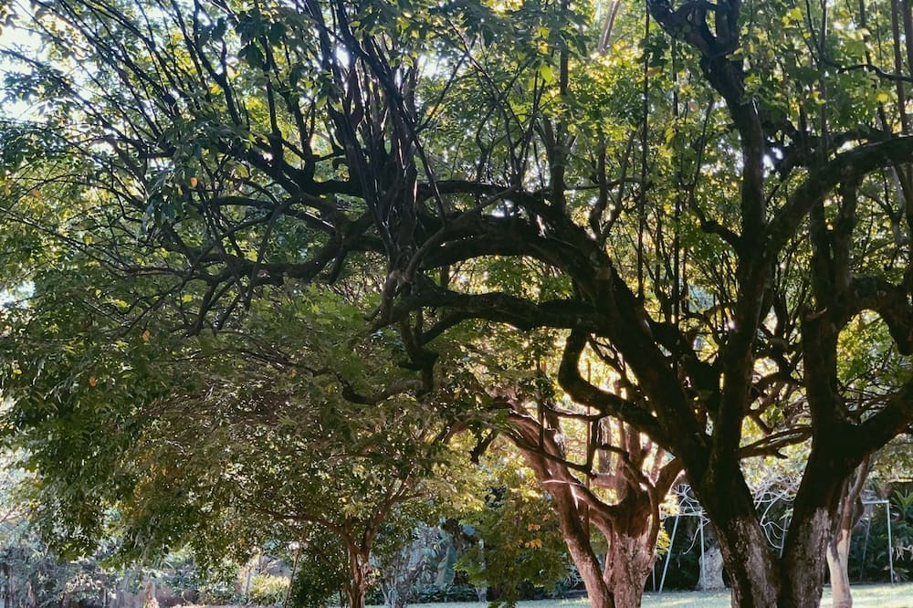 Photo of Outdoor in Alajuela