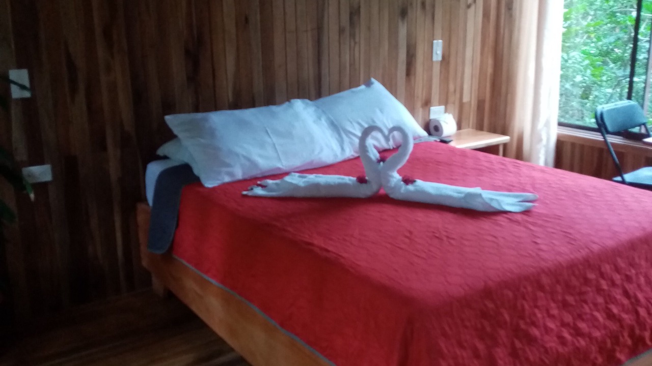 Photo of Bedroom in Monteverde