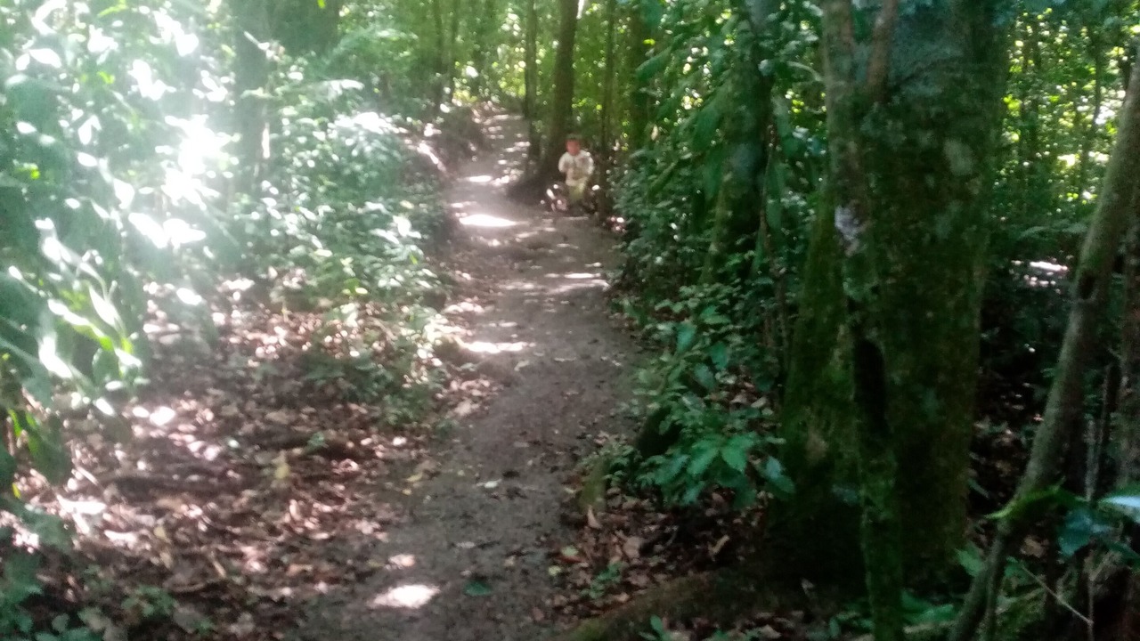 Photo of Others in Monteverde