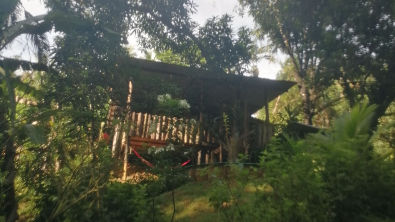 Photo of Outdoor in Naranjito