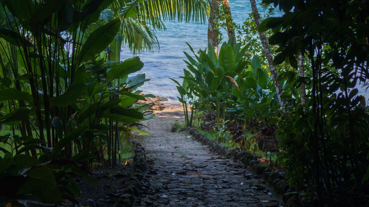 Photo of Others in Drake Bay