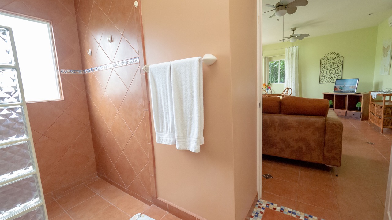 Photo of Bathroom in Jaco