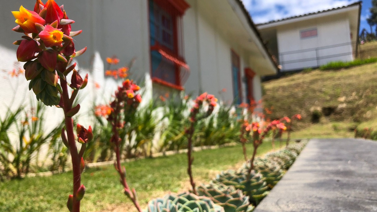 Photo of Bedroom in San Gerardo de Dota