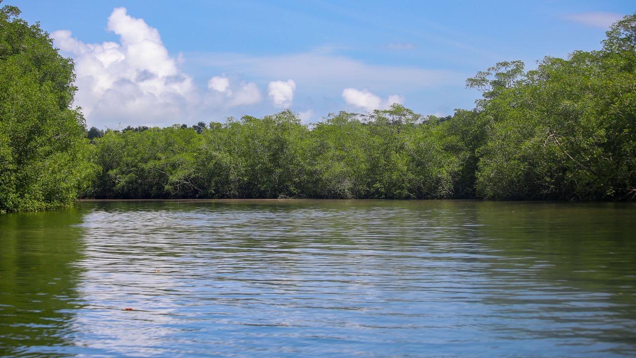 Photo of Others in Drake Bay