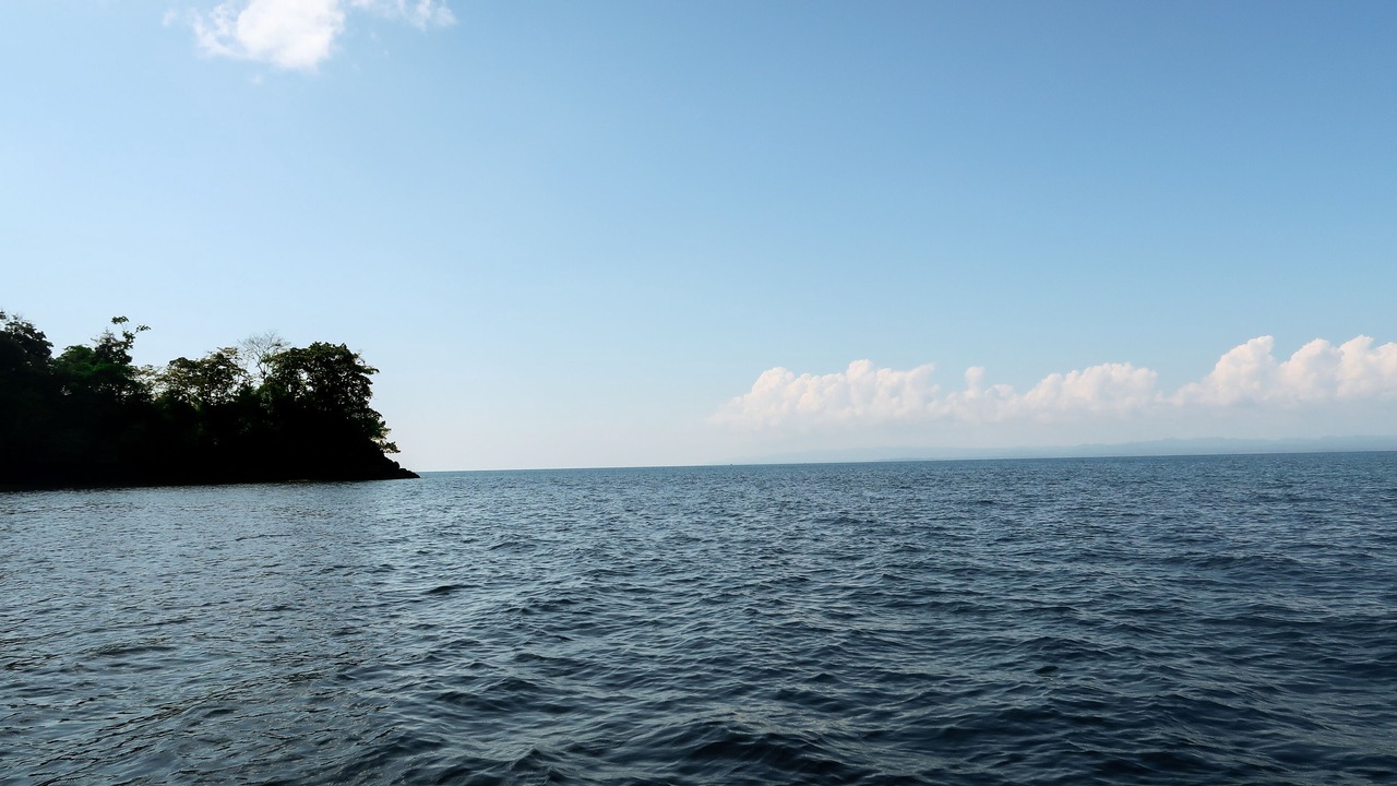 Photo of Others in Puerto Jimenez