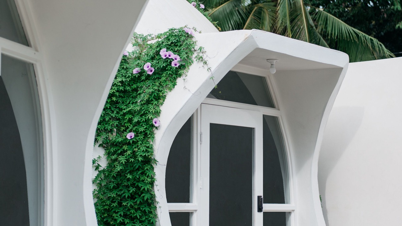 Photo of Outdoor in Manuel Antonio