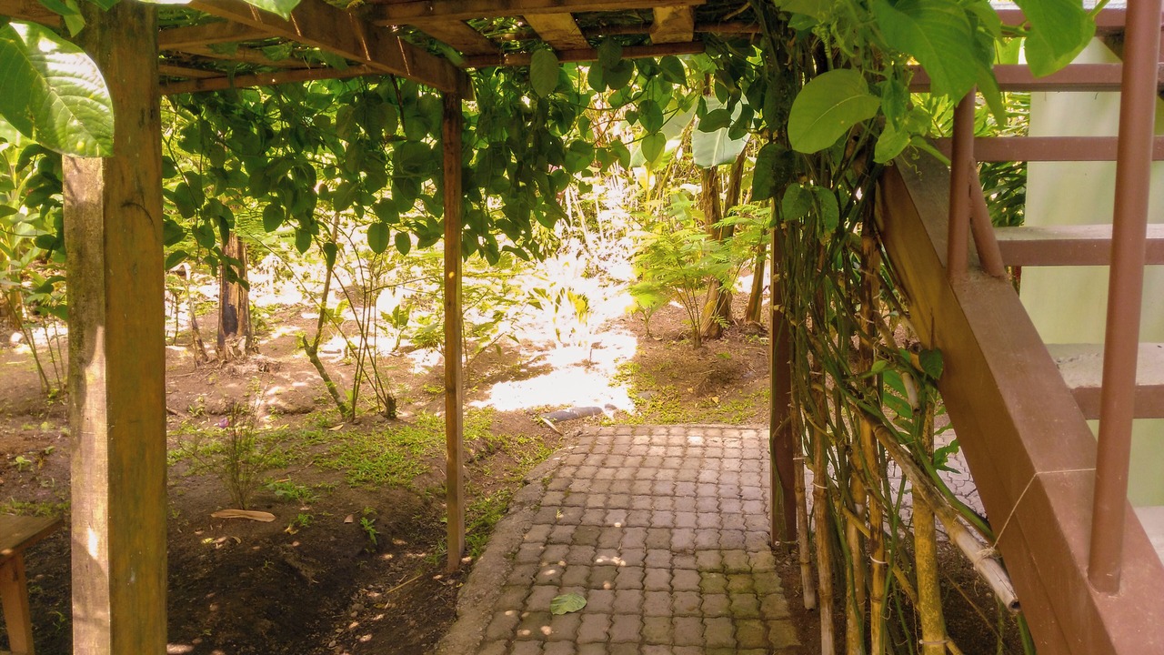Photo of Outdoor in La Fortuna