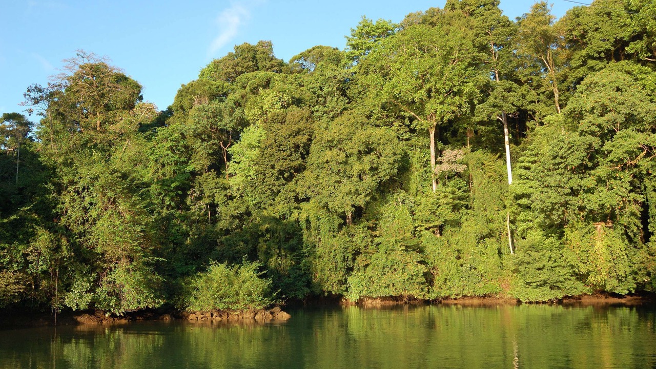 Photo of Outdoor in Drake Bay
