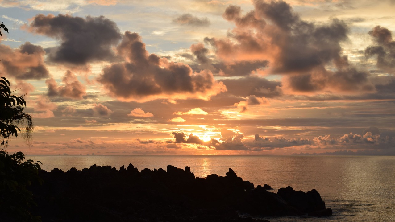 Photo of Outdoor in Drake Bay