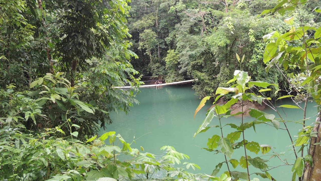 Photo of Outdoor in Drake Bay