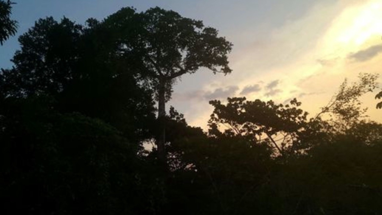 Photo of Outdoor in Drake Bay