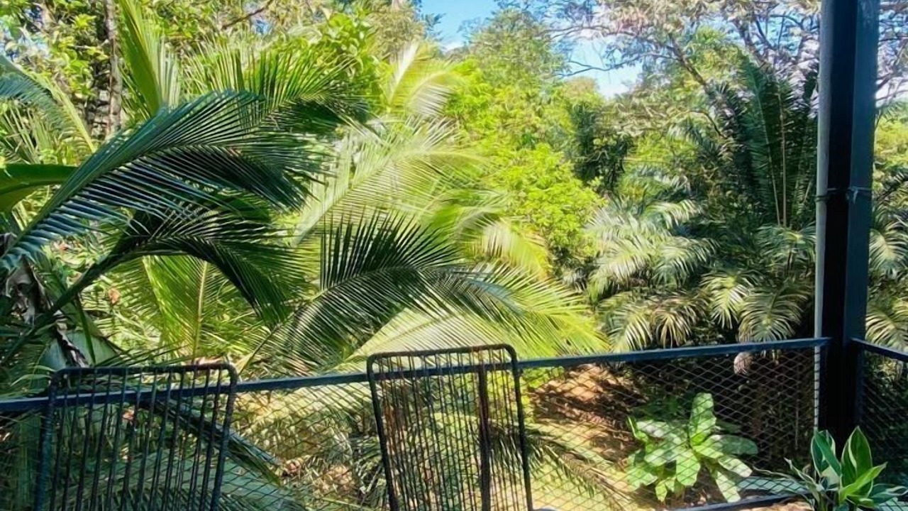 Photo of Outdoor in Drake Bay