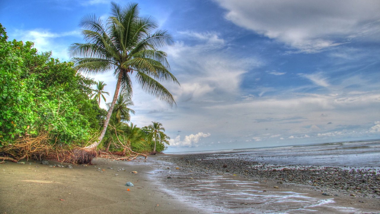 Photo of Others in Drake Bay