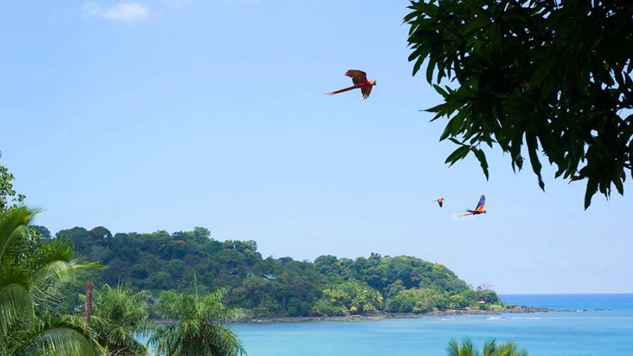 Photo of Others in Drake Bay