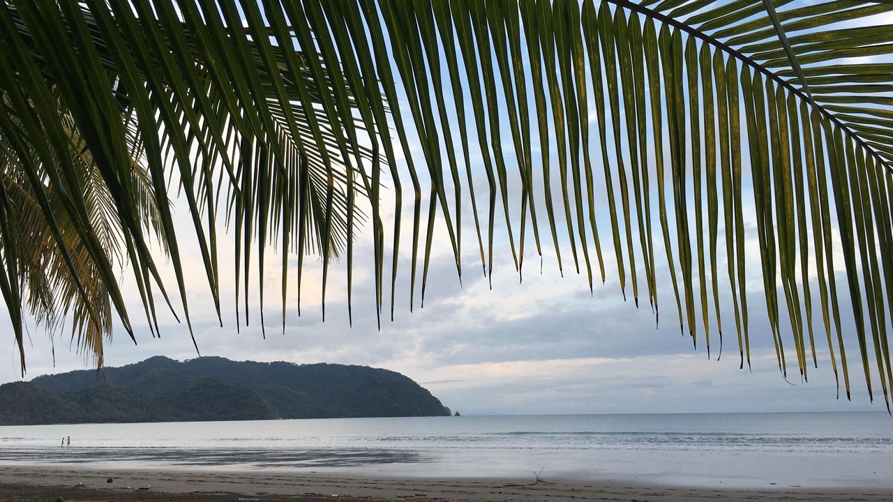 Photo of Others in Tambor