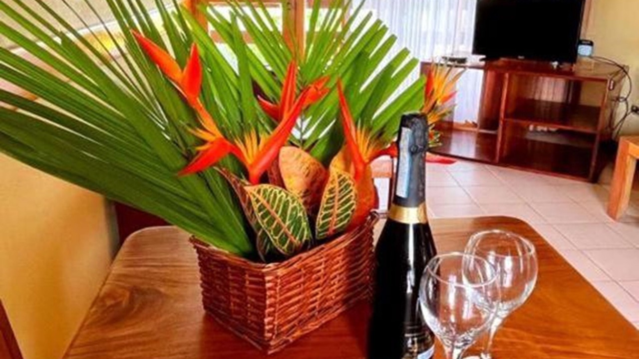 Photo of Outdoor in Jaco
