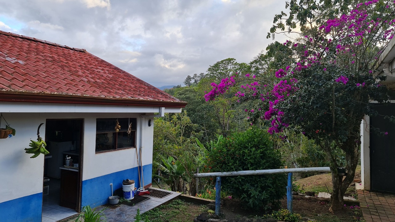 Photo of Outdoor in Santiago