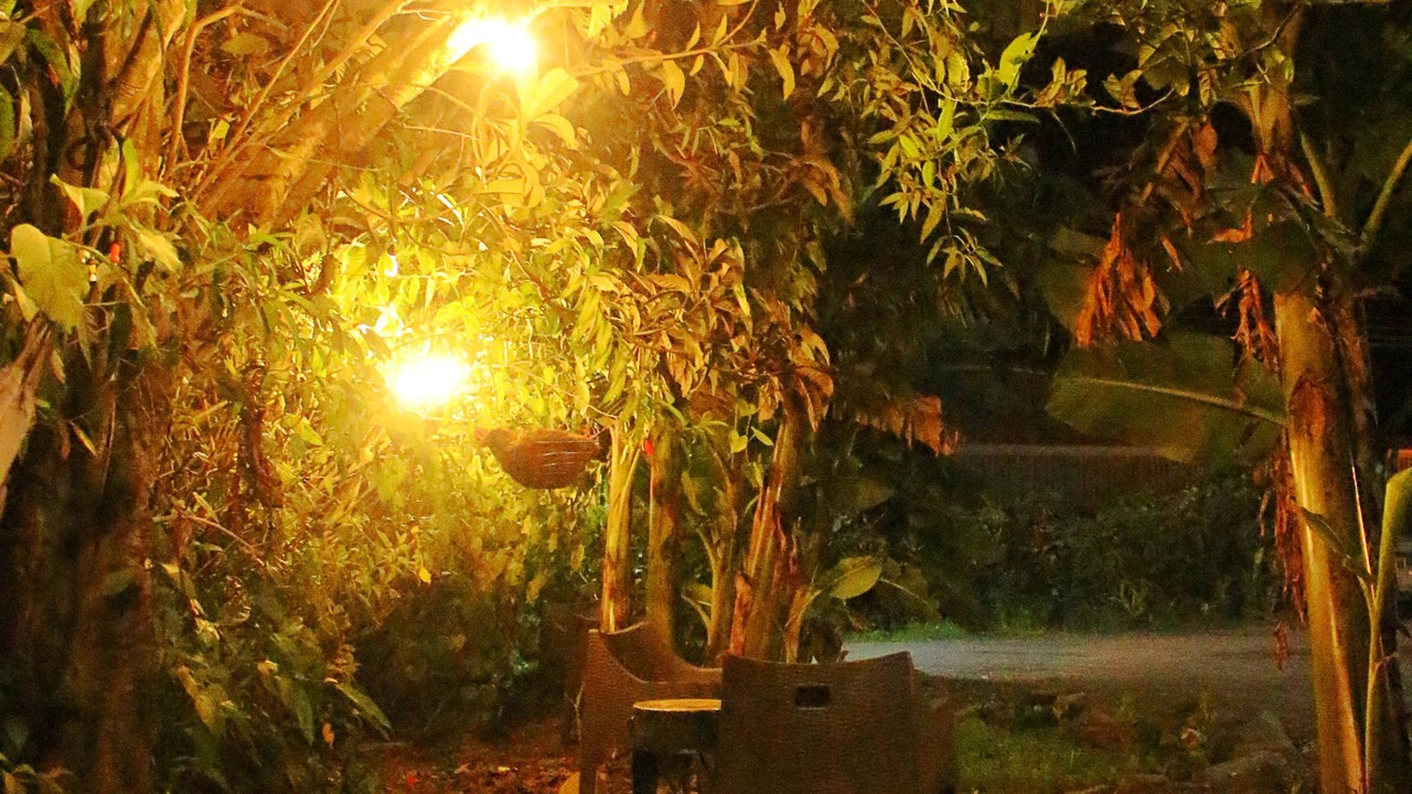 Photo of Outdoor in Monteverde