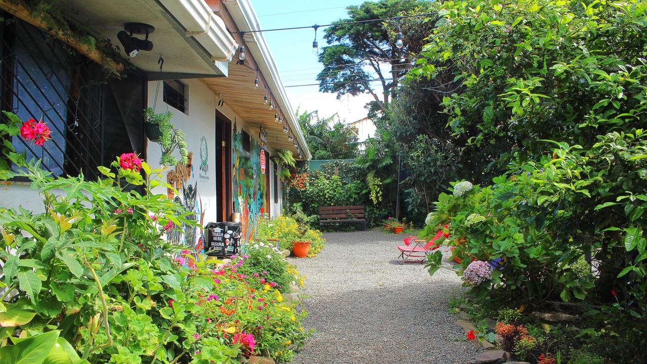 Photo of Outdoor in Monteverde