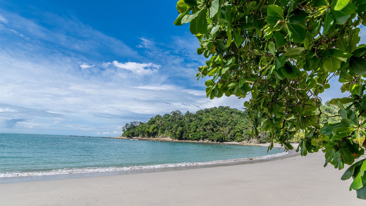 Photo of Others in Manuel Antonio