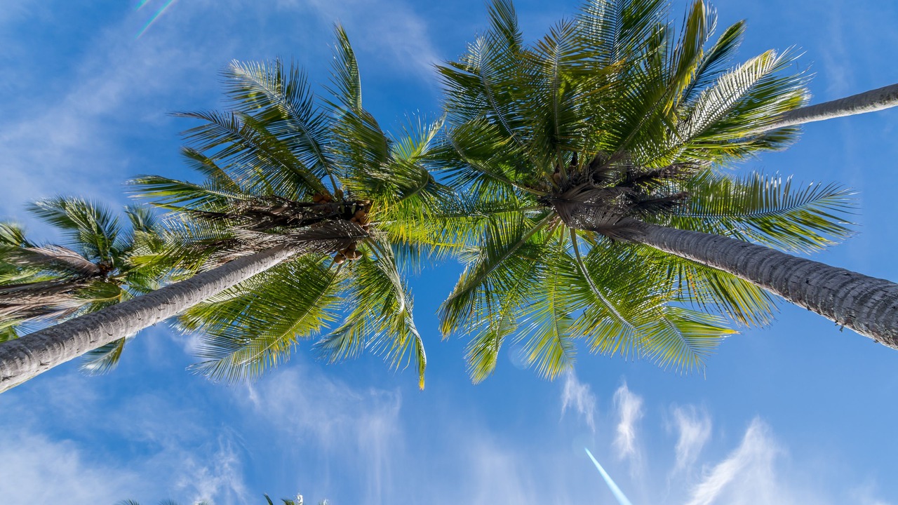 Photo of Outdoor in Manuel Antonio