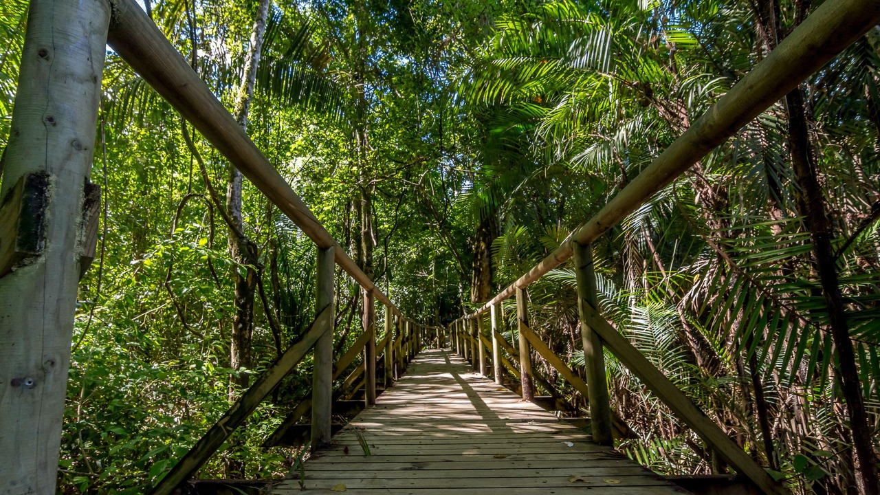 Photo of Outdoor in Manuel Antonio