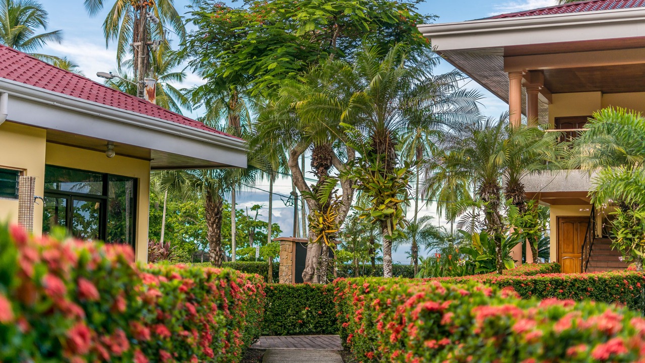 Photo of Outdoor in Manuel Antonio