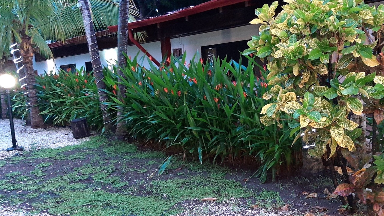 Photo of Outdoor in Coco