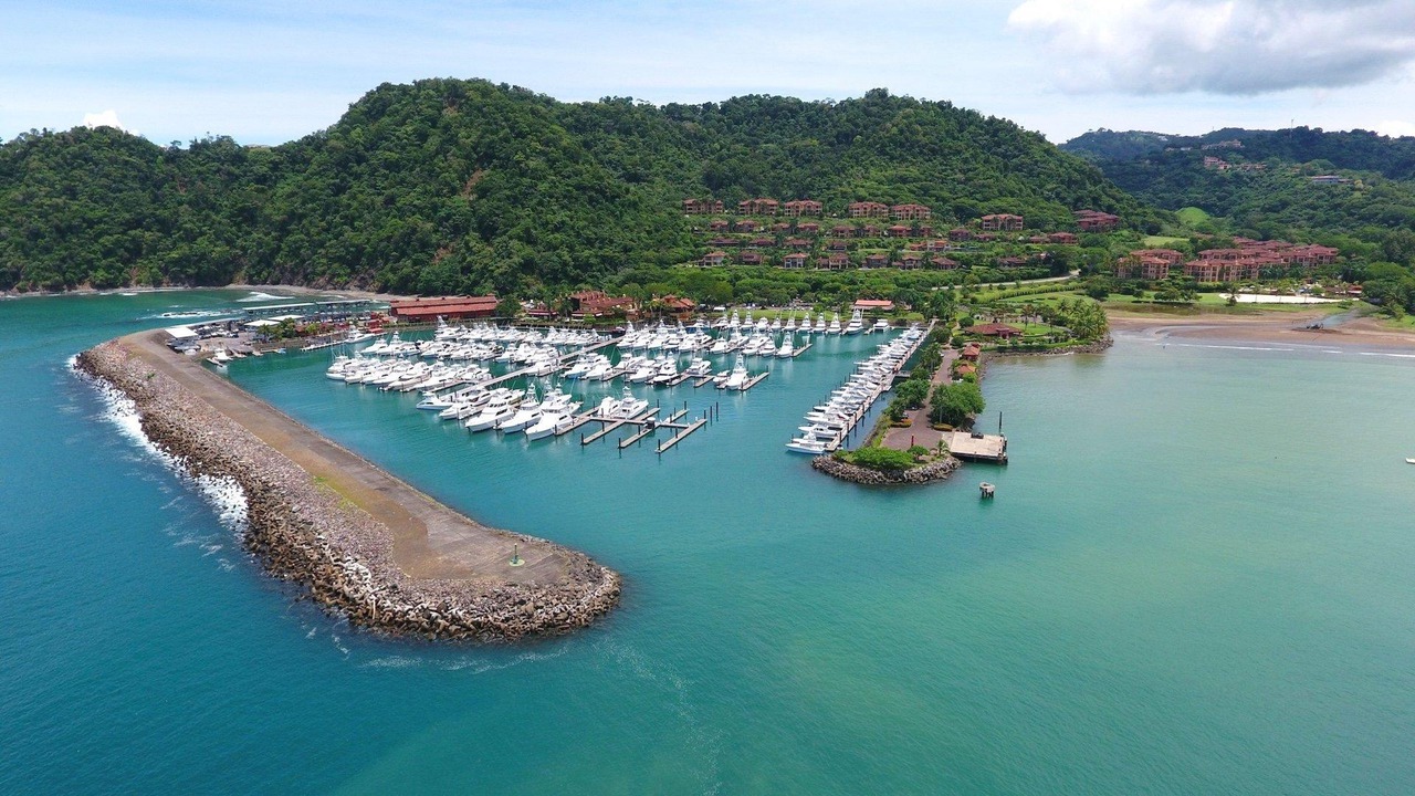 Photo of Others in Jaco