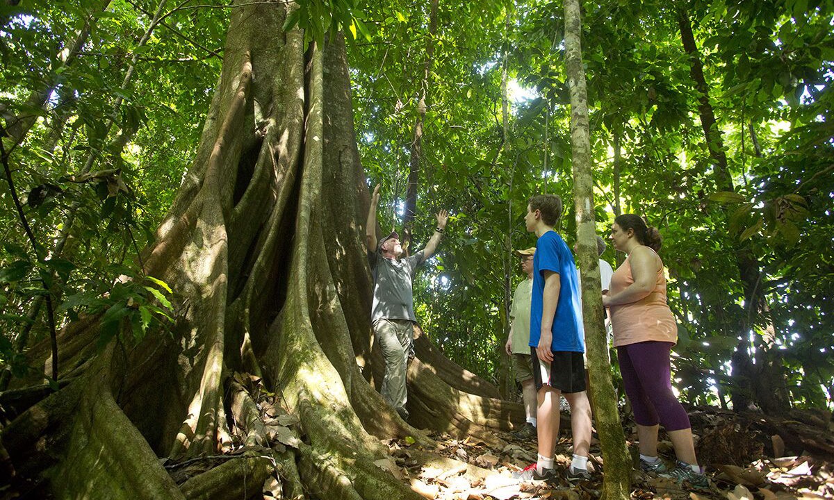 Photo of Outdoor in Cabo Matapalo