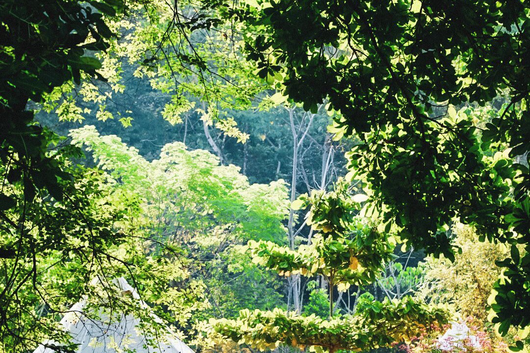 Photo of Outdoor in Uvita