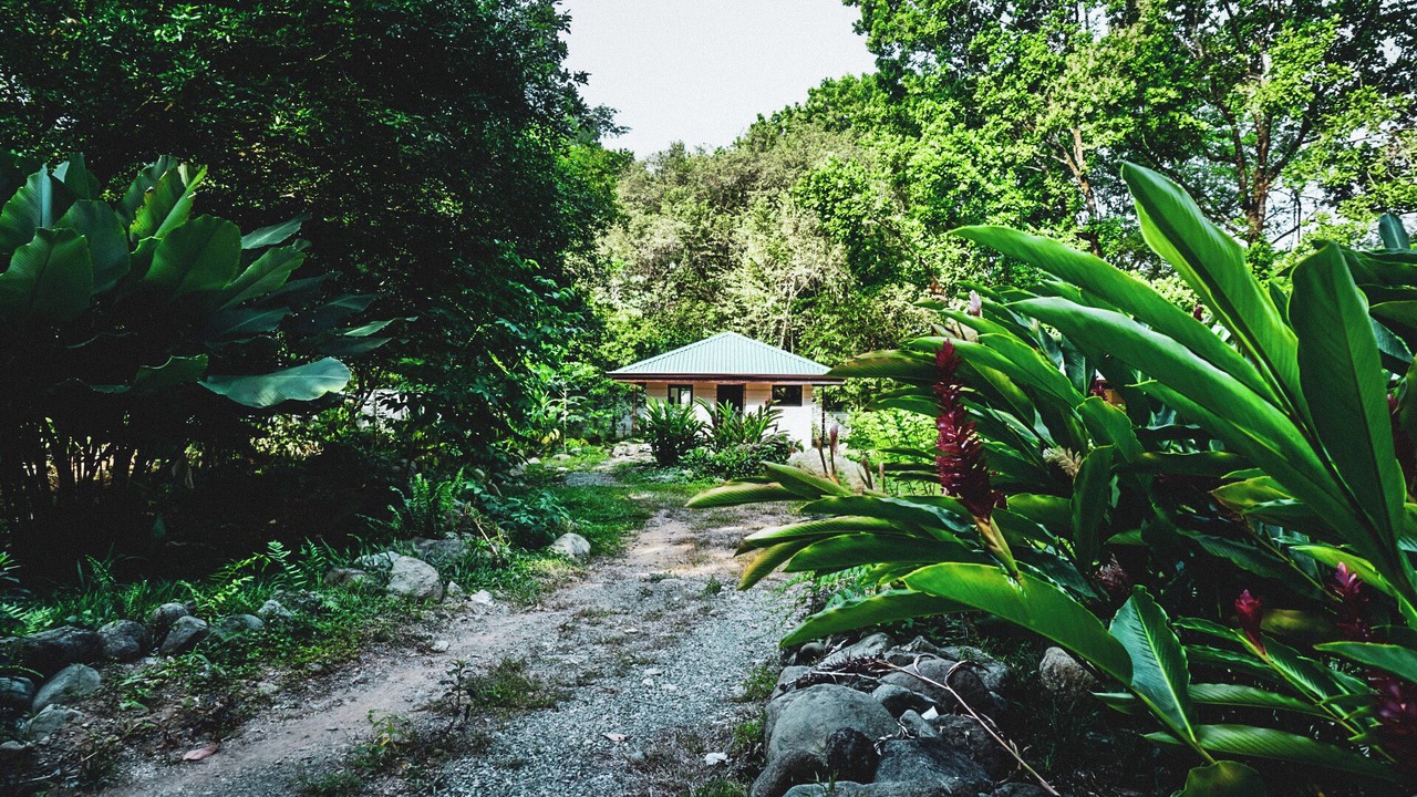 Photo of Outdoor in Uvita