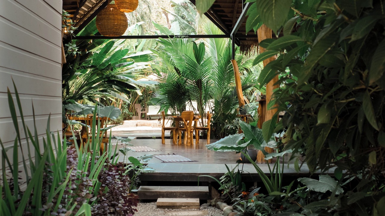 Photo of Outdoor in Puerto Viejo de Talamanca