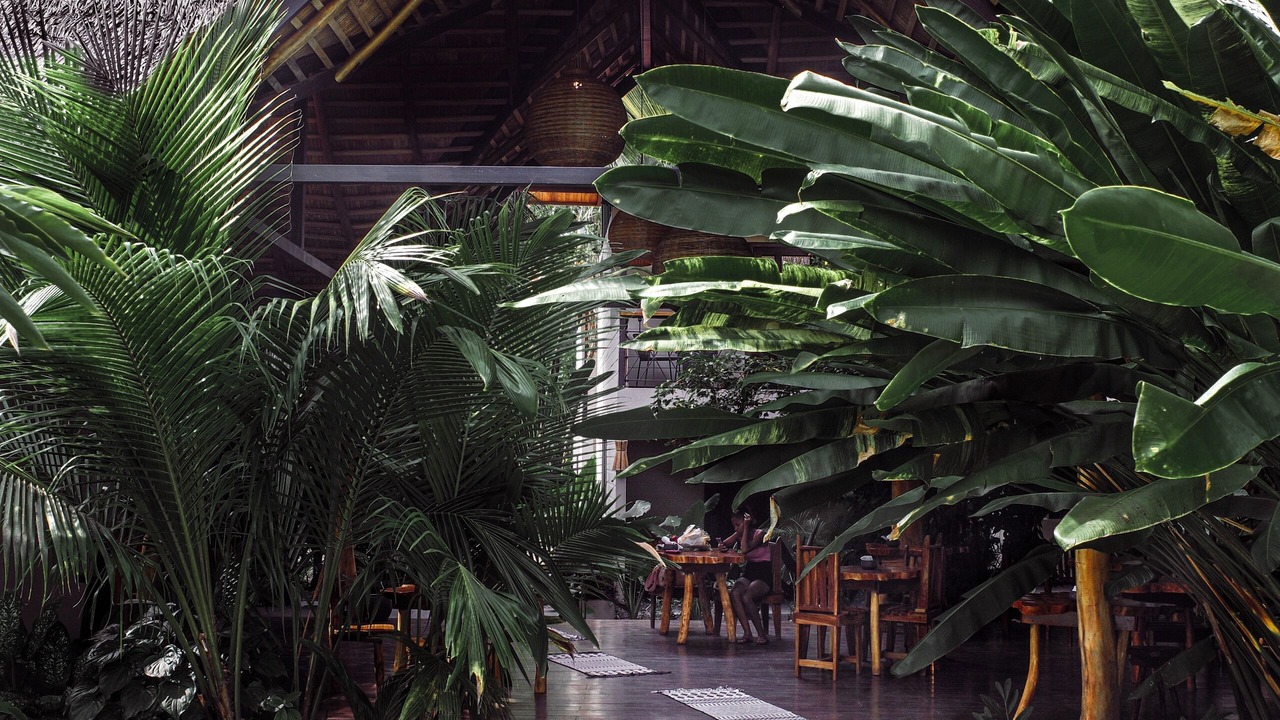 Photo of Outdoor in Puerto Viejo de Talamanca