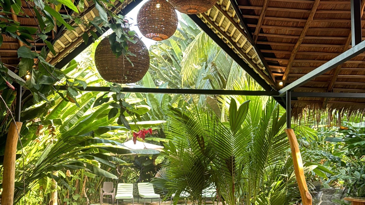 Photo of Outdoor in Puerto Viejo de Talamanca