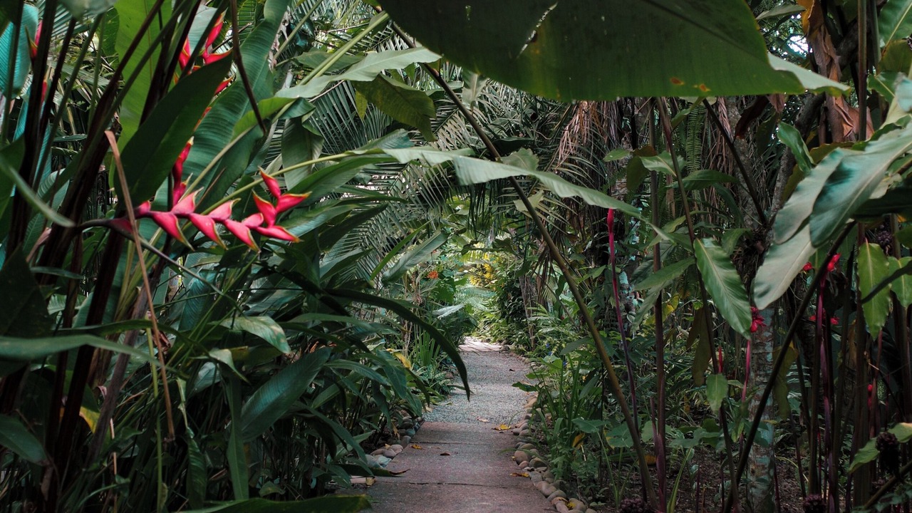 Photo of Outdoor in Puerto Viejo de Talamanca