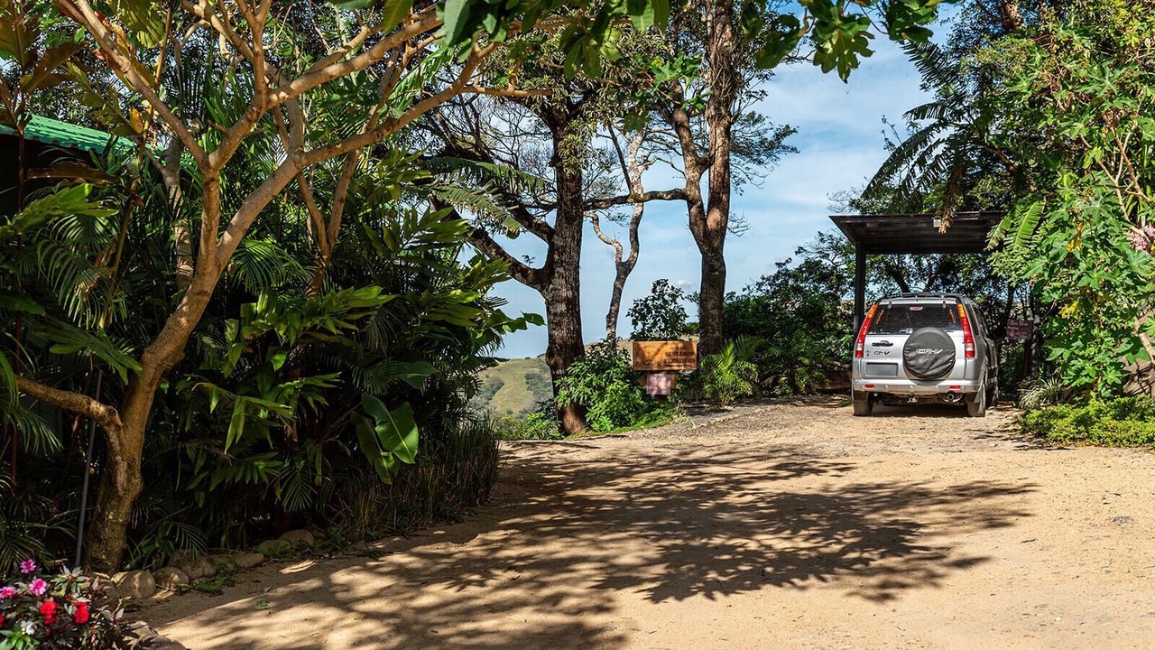 Photo of Others in Monteverde