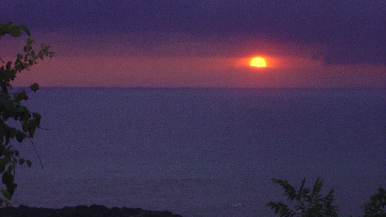 Photo of Others in Jaco
