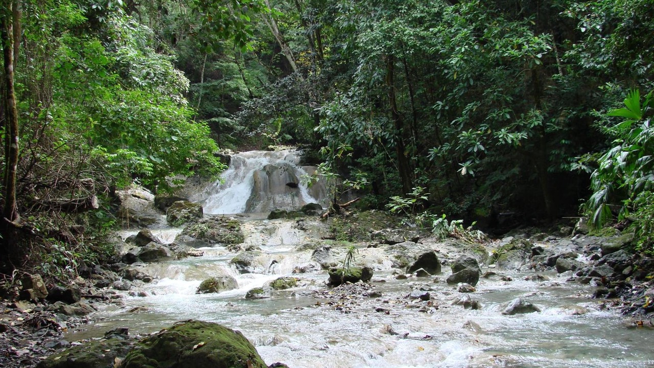 Photo of Outdoor in Dominicas