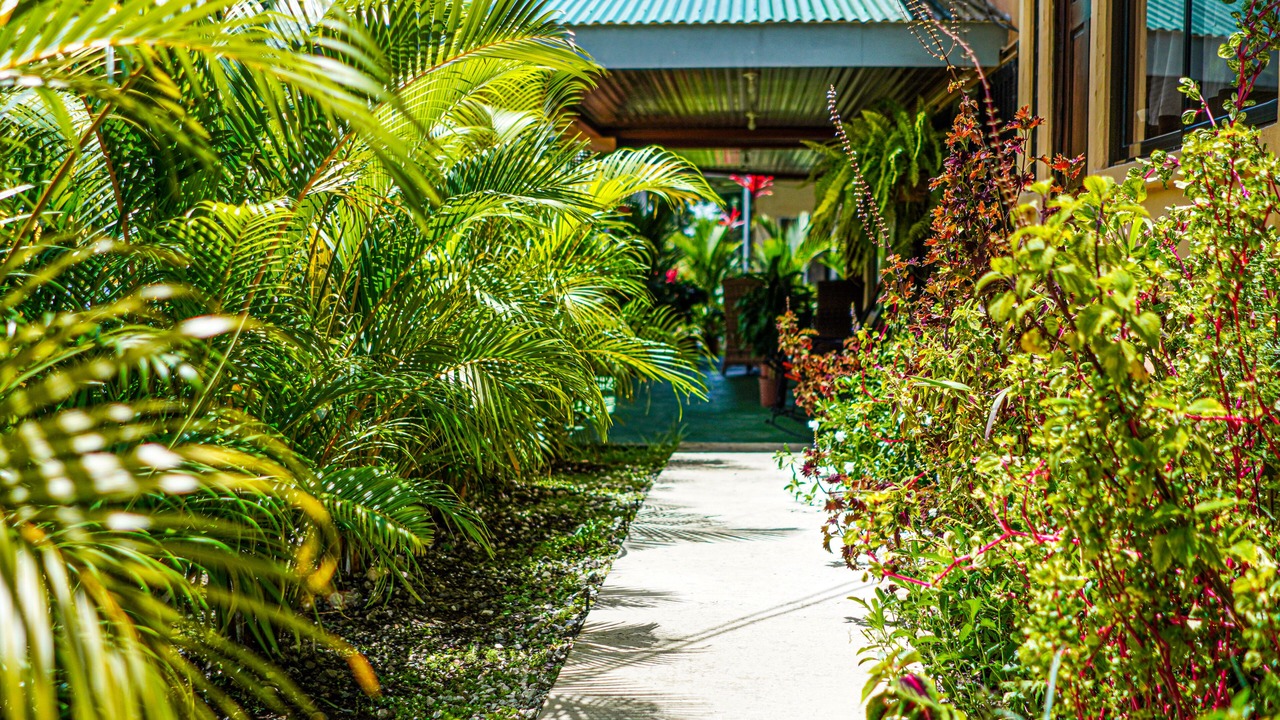 Photo of Outdoor in La Fortuna