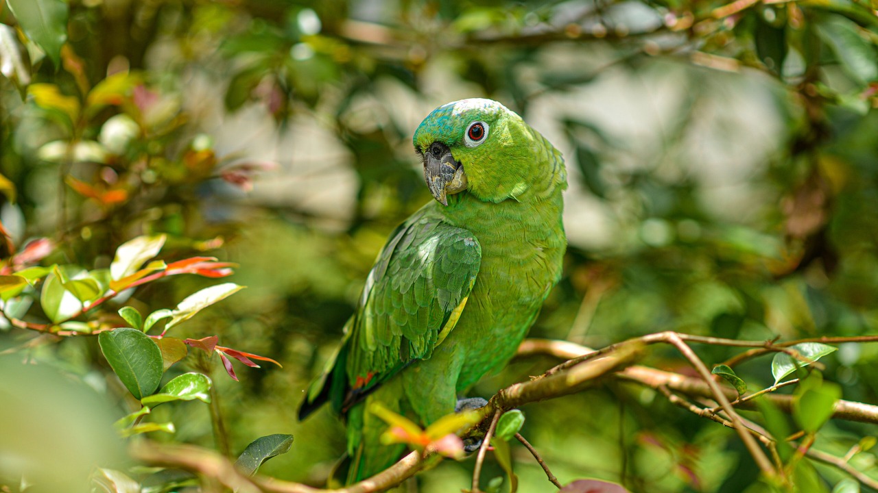 Photo of Outdoor in La Fortuna