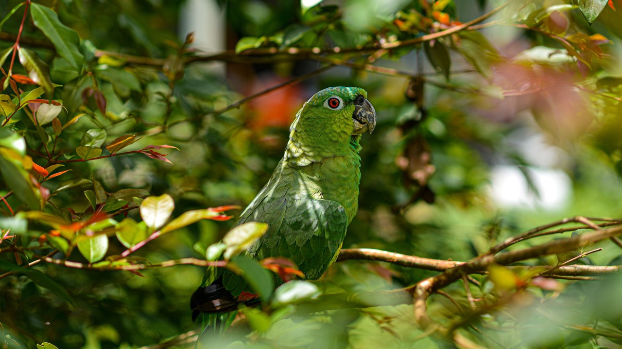 Photo of Outdoor in La Fortuna