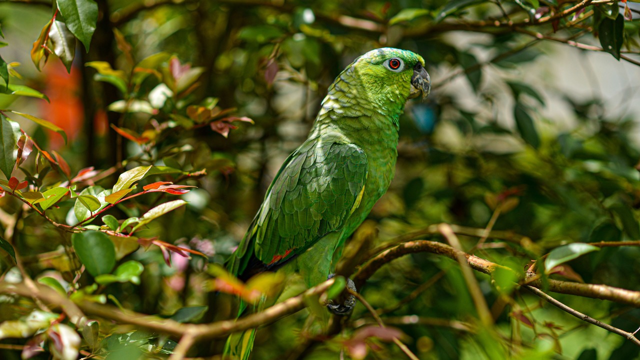 Photo of Outdoor in La Fortuna